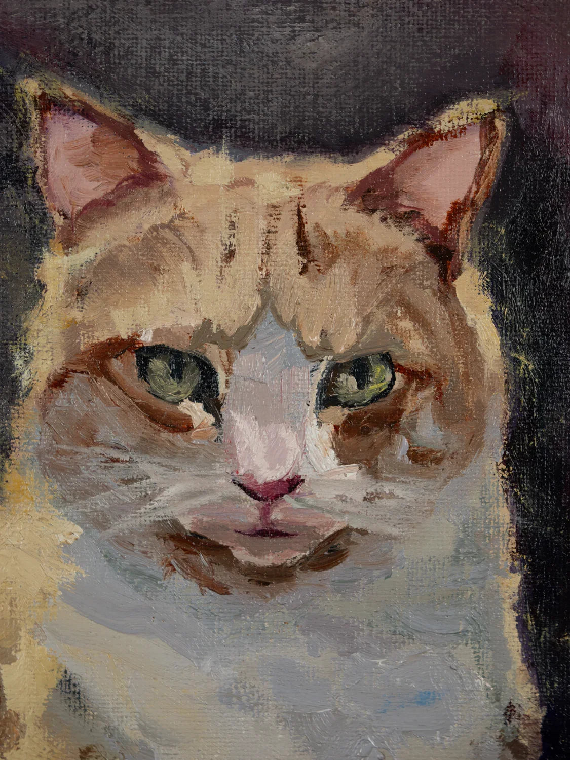 Original oil painting of a cat portrait by Vera Studio, featuring vivid brushstrokes.