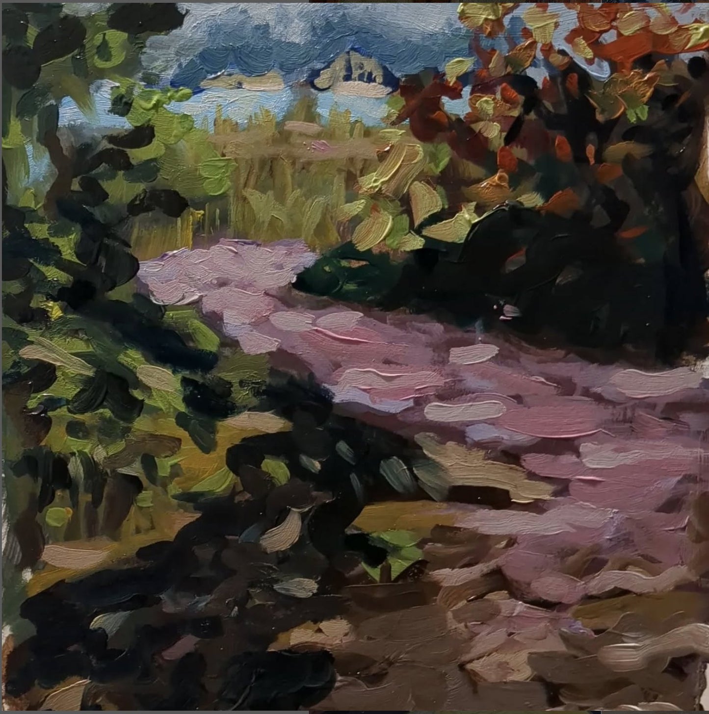 Oniric Landscape