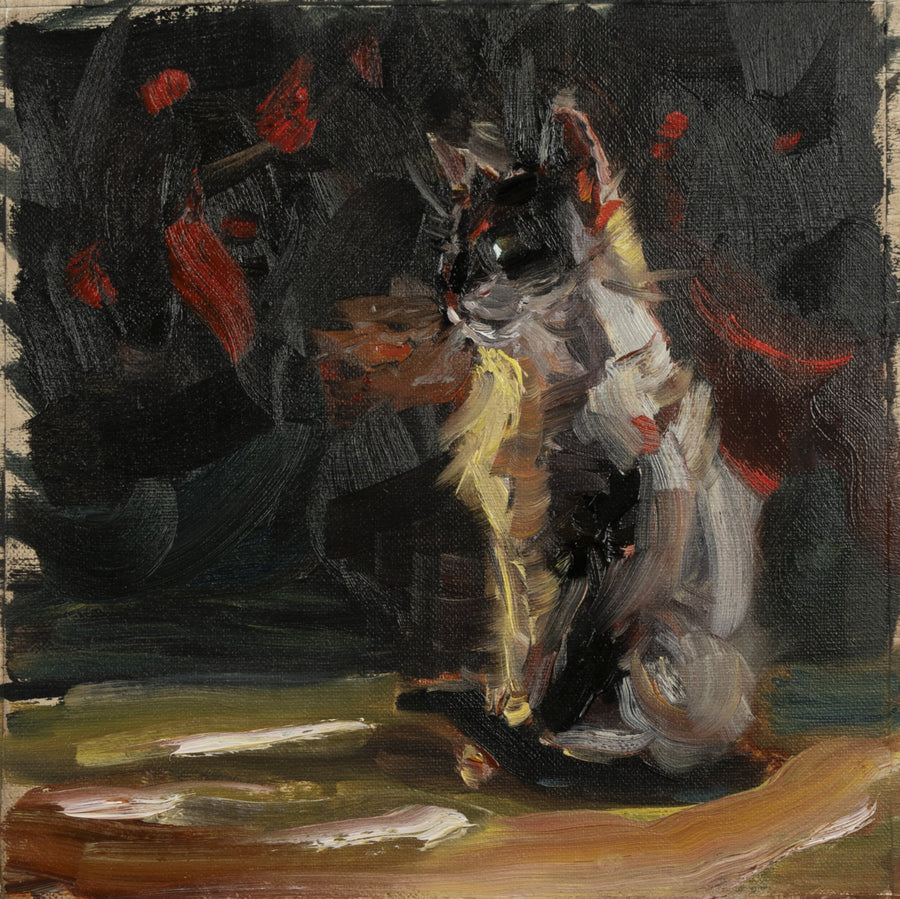 Zorn Cat study