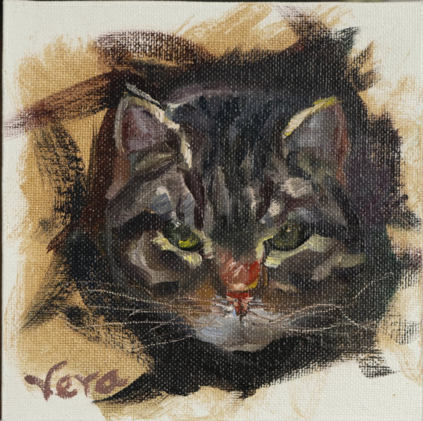 Coque Study
