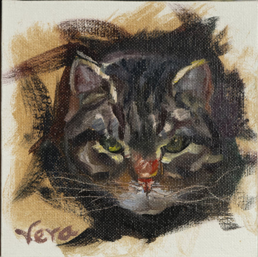 Coque Study