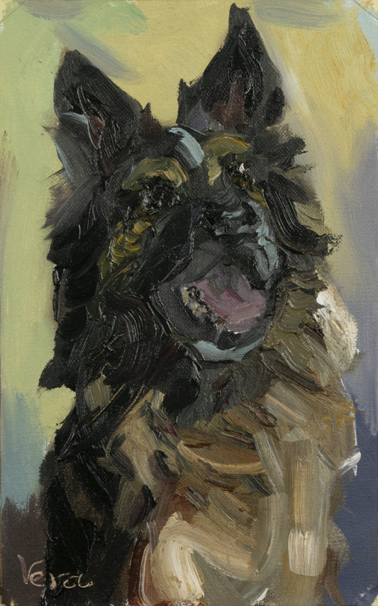 German Sheppard Study