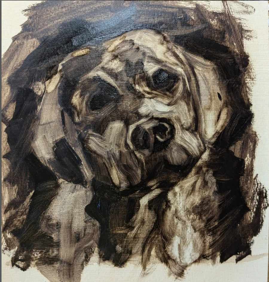 Labrador Study