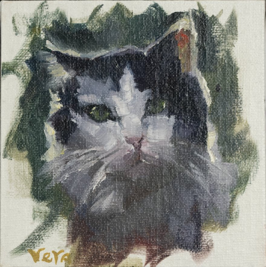 Rain Study