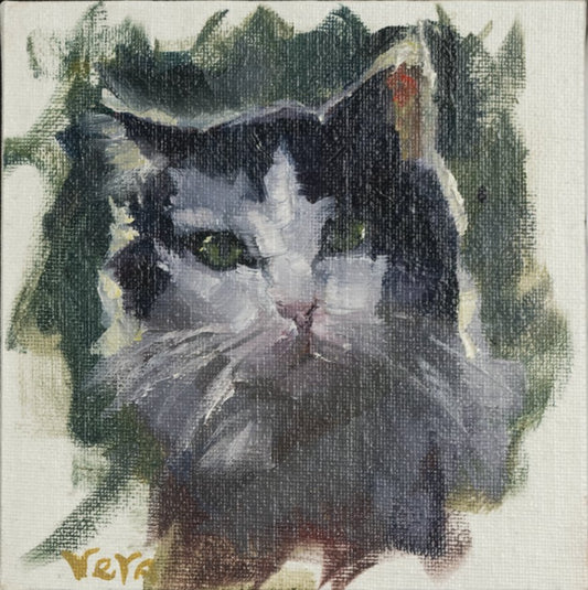 Rain Study