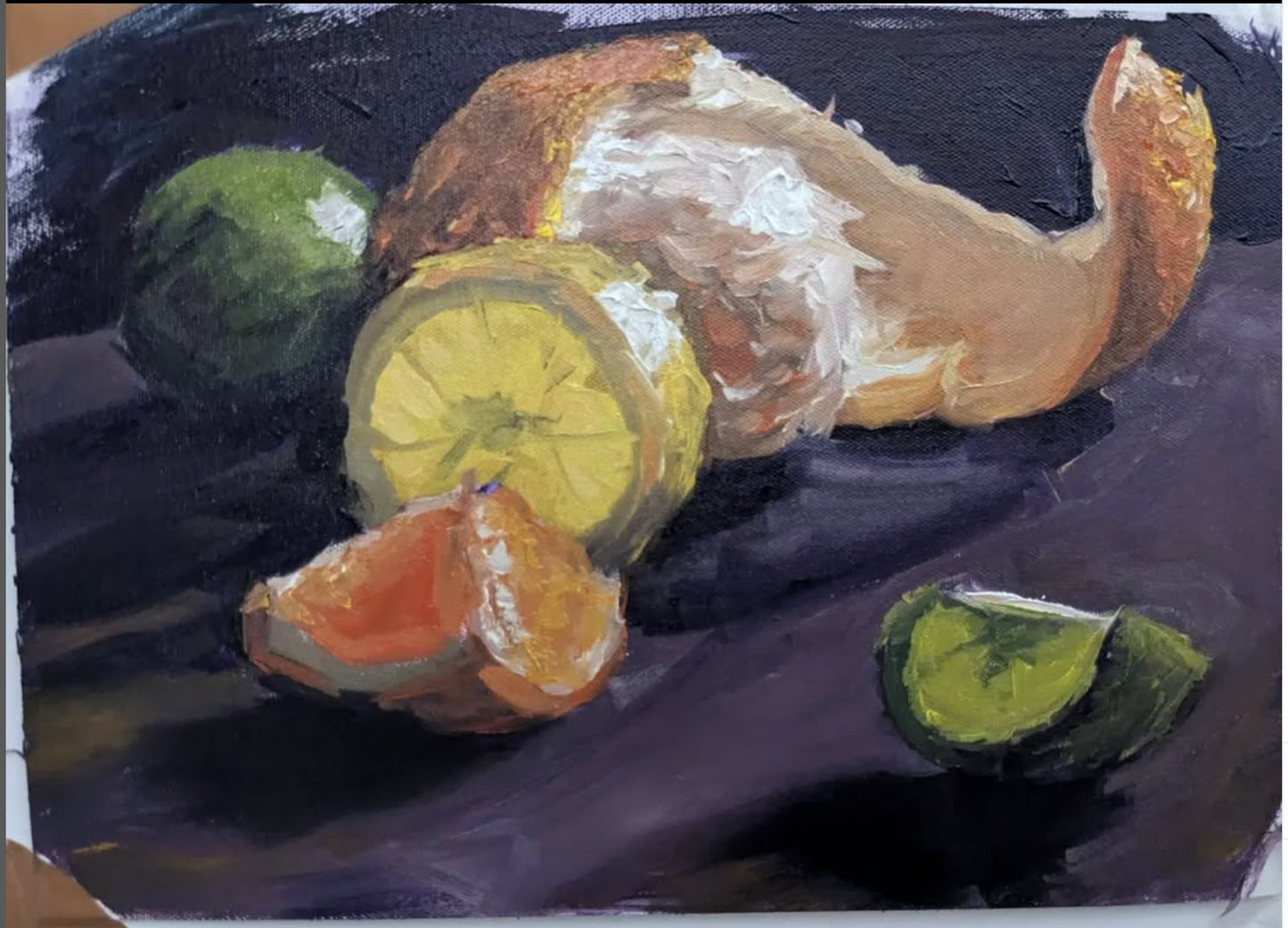 Still Life Study